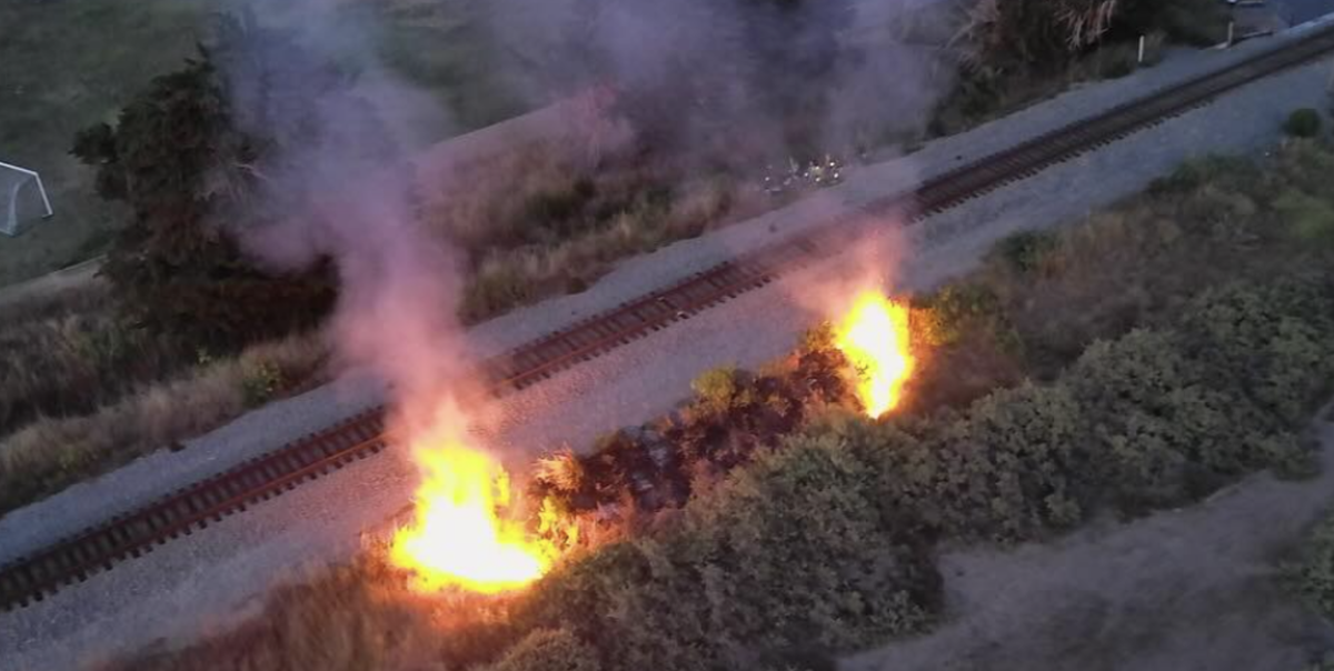 Carpinteria Salt Marsh Fire under investigation